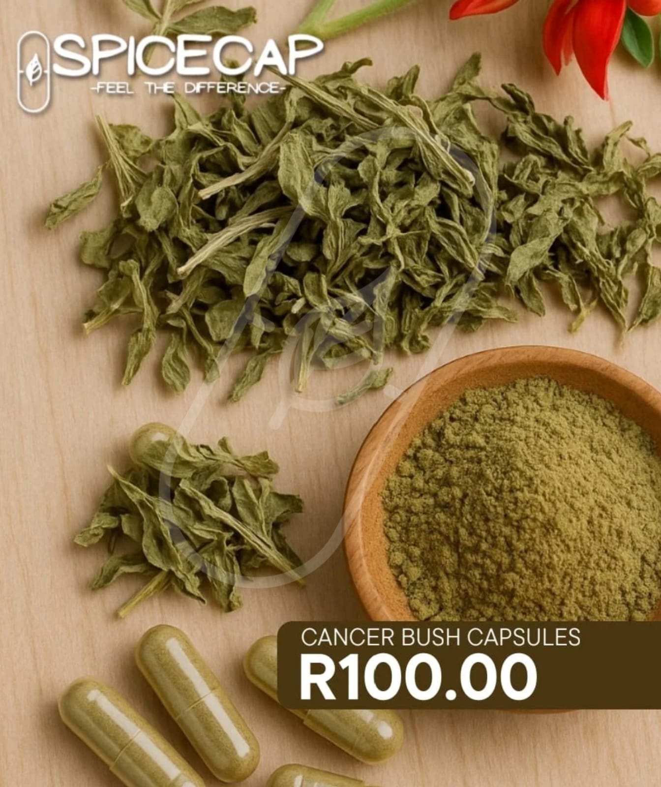 Cancer Bush Capsules 60s