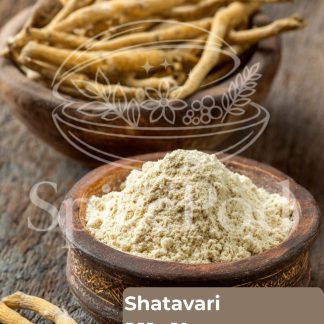 Shatavari Powder