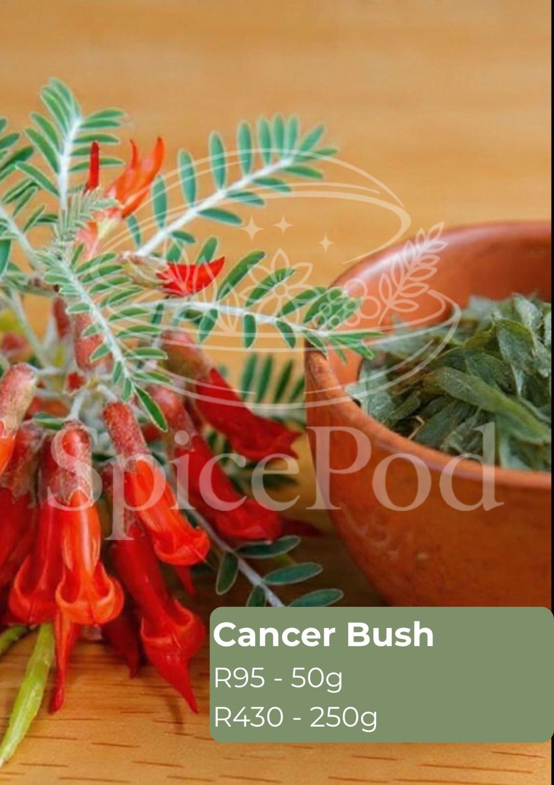 Cancer Bush Powder