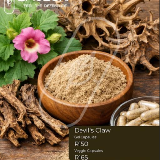 Devil's Claw Capsules 60s