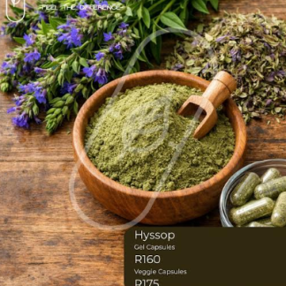 Hyssop Capsules 60s