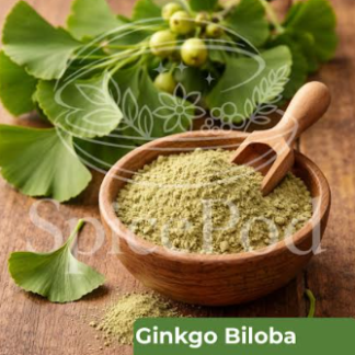 Ginkgo Biloba Powder